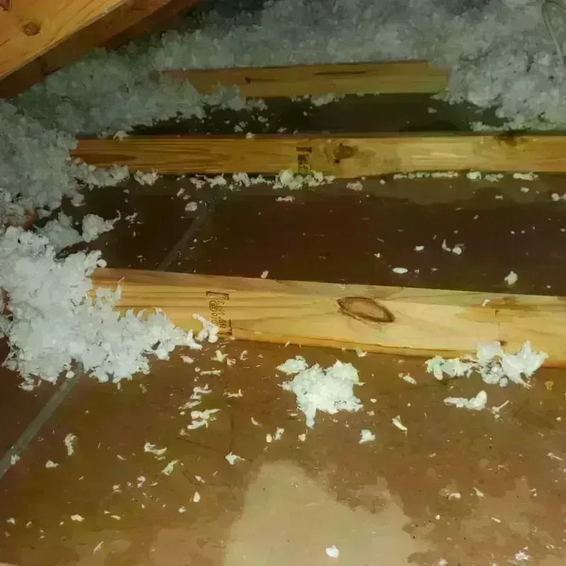 Attic Water Damage in Cape Charles, VA